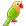 [parrot]
